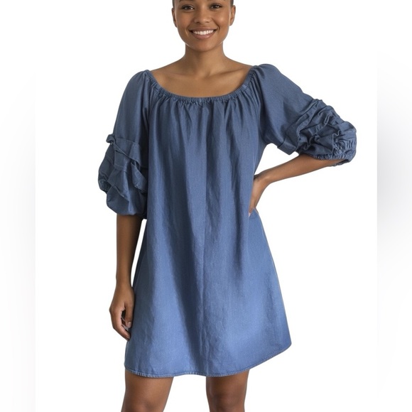 LOVE by Christley Denim Country Western Ruffle Sleeve Dress Pull-On Size 2X - Picture 7 of 11